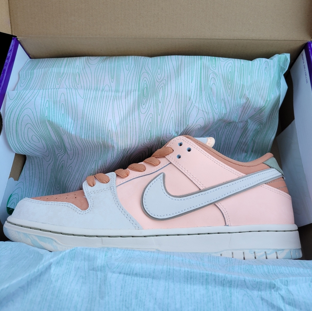 Brand new ds nike sb dunk low size 9.5 men's.